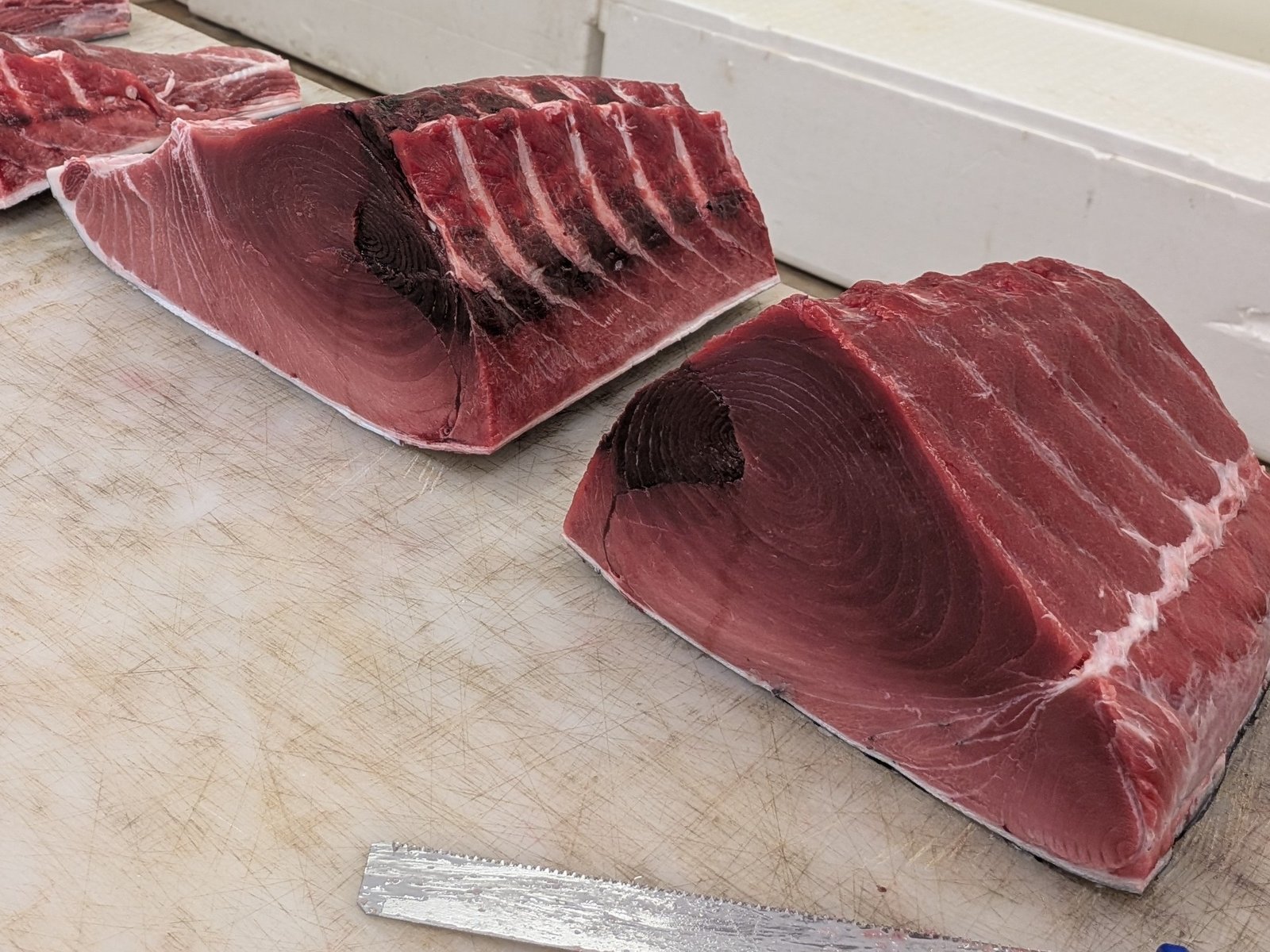 鮮魚の卸売