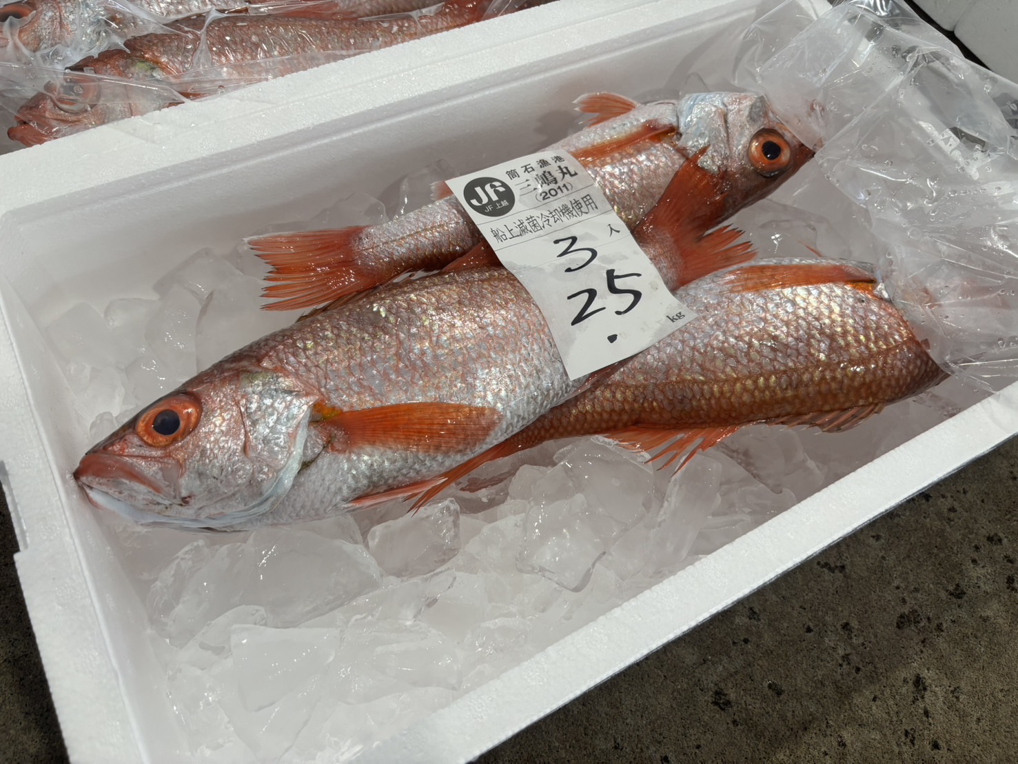 鮮魚